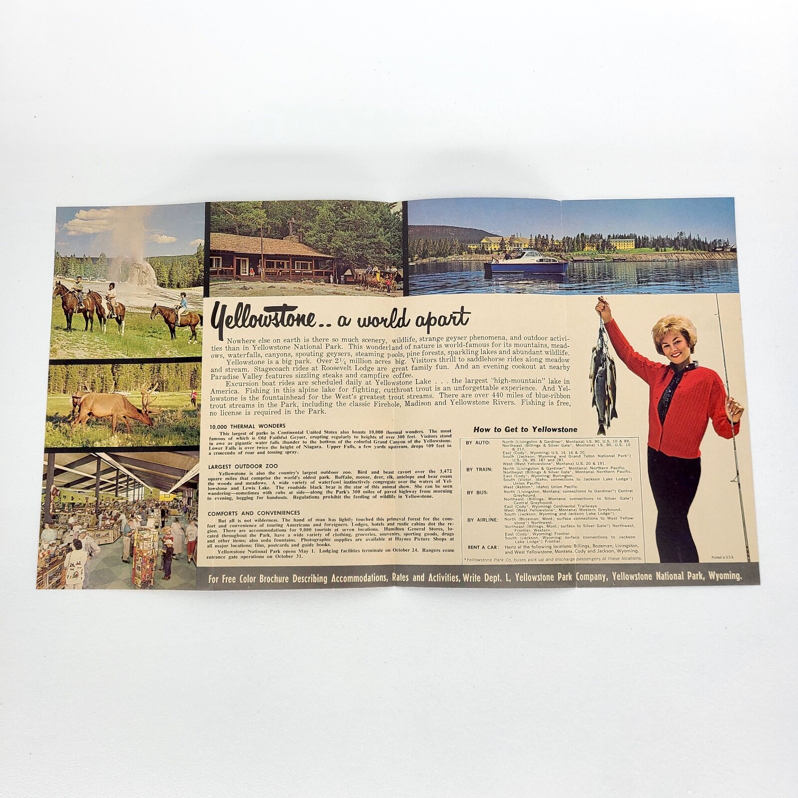 1960s Yellowstone National Park Vintage Travel Brochure Wyoming Geyser Bear