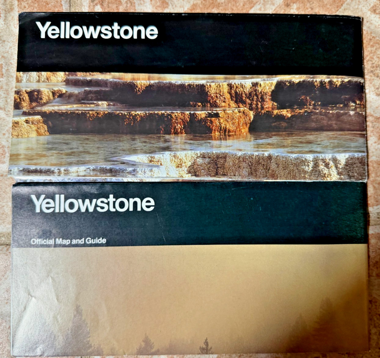 Vintage Yellowstone National Park Map Brochure Wildlife US Dept of Interior x 2!