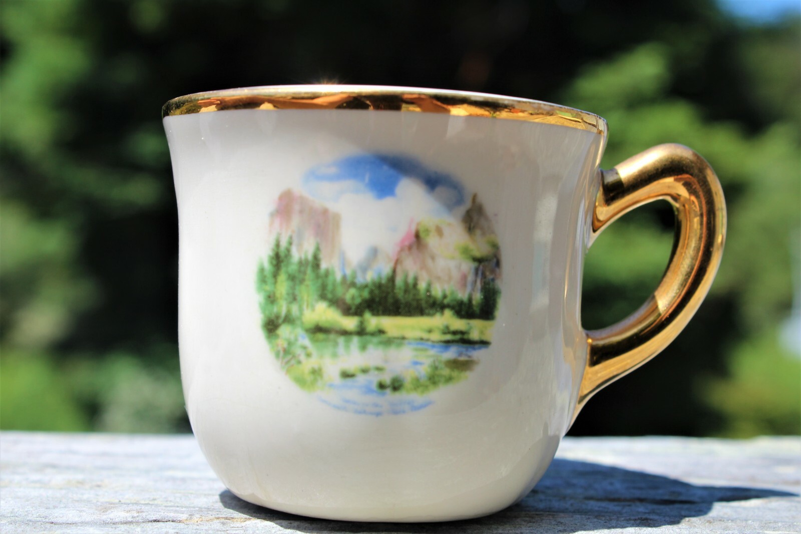 Yosemite Vinatge Souvenir Mini Cup and Saucer- Half Dome 1960’s