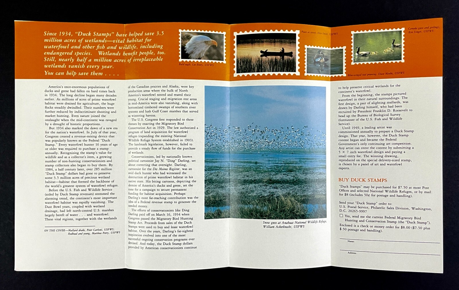 1980s Duck Stamp Story Wetlands Wildlife Rescue Vintage Interior Dept Brochure