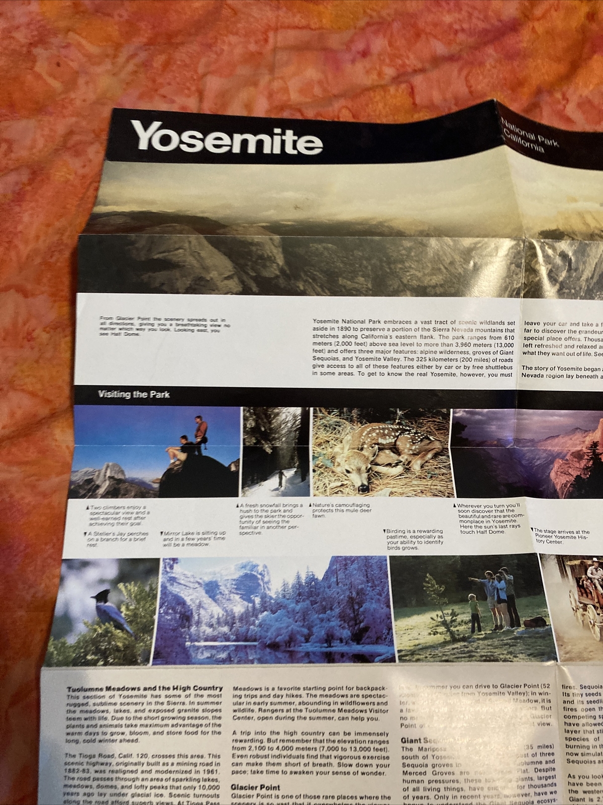 1988 Reprint Yosemite National Park Guide Map Double Sided 17 X 24 Inches
