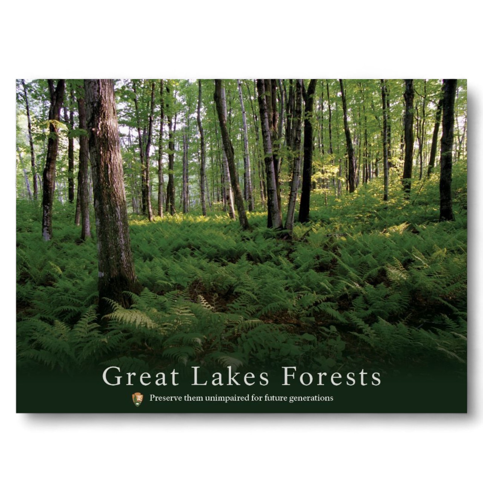 4 -Great Lakes National Park Service 24×18 2 Sided Posters Lakes Forest Dunes