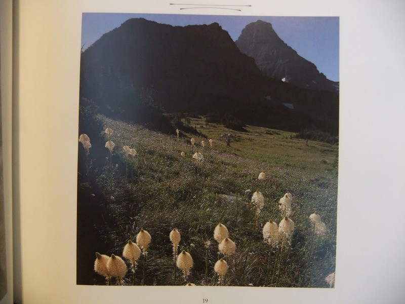 The Story of The Highway Across Glacier National Park Going-To-The Sun 1984 Book