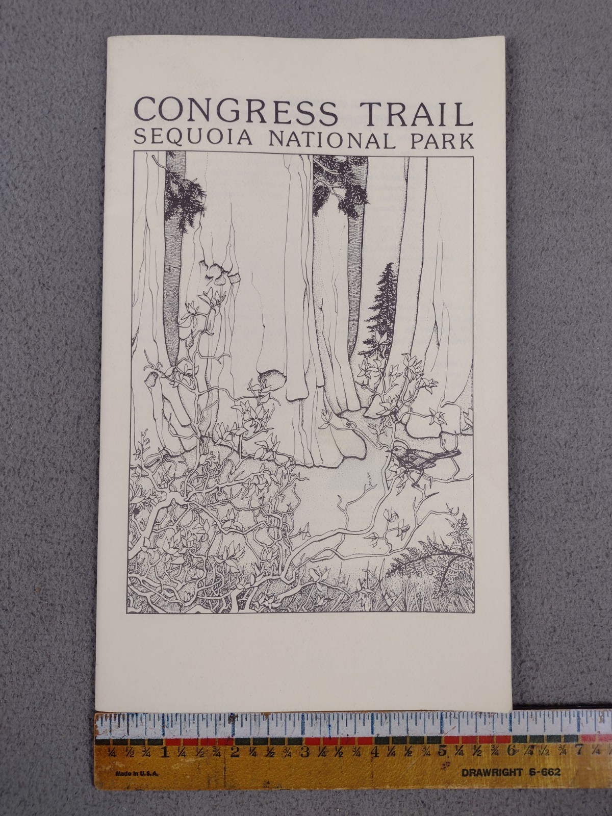Sequoia National Park Booklet Brochure Congress Trail California Vintage 1985
