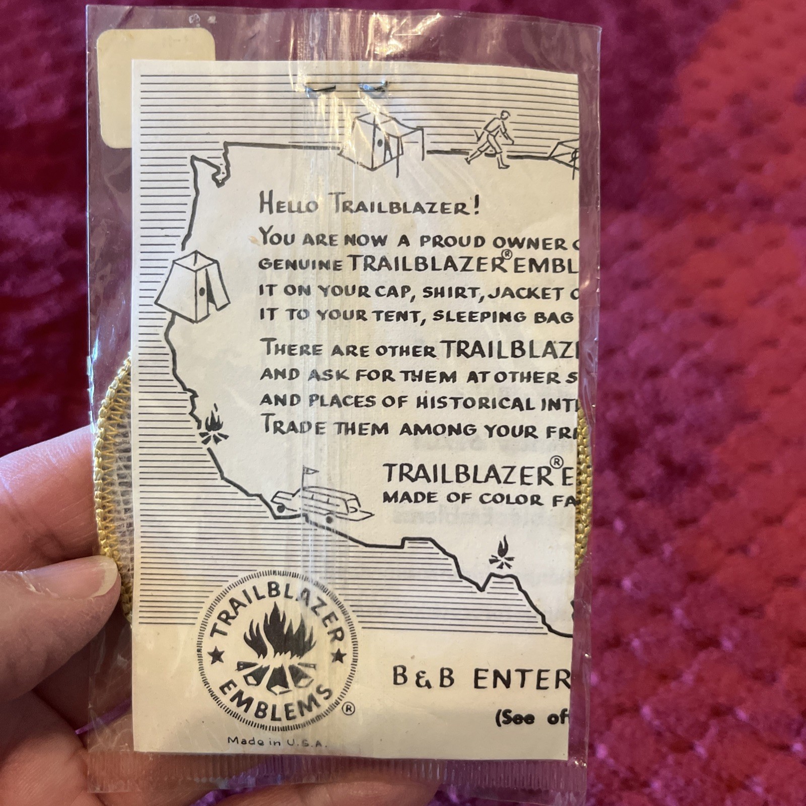 Vtg Trailblazer Emblems New Mexico CARLSBAD CAVERNS NATIONAL PARK Patch
