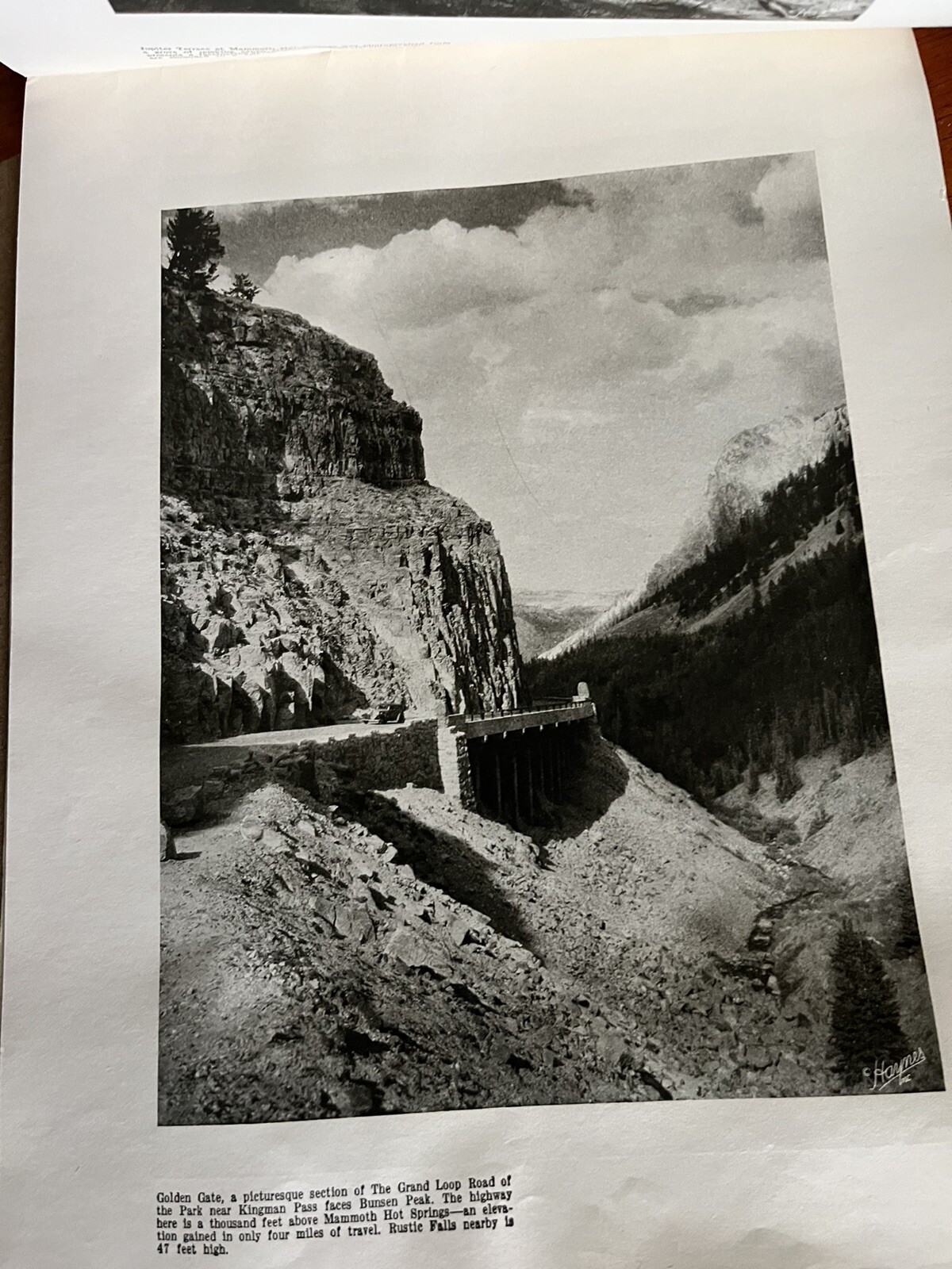 Vintage 1940 Hayne ‘ s Souvenir Album Yellowstone National Park B&W Photo Album