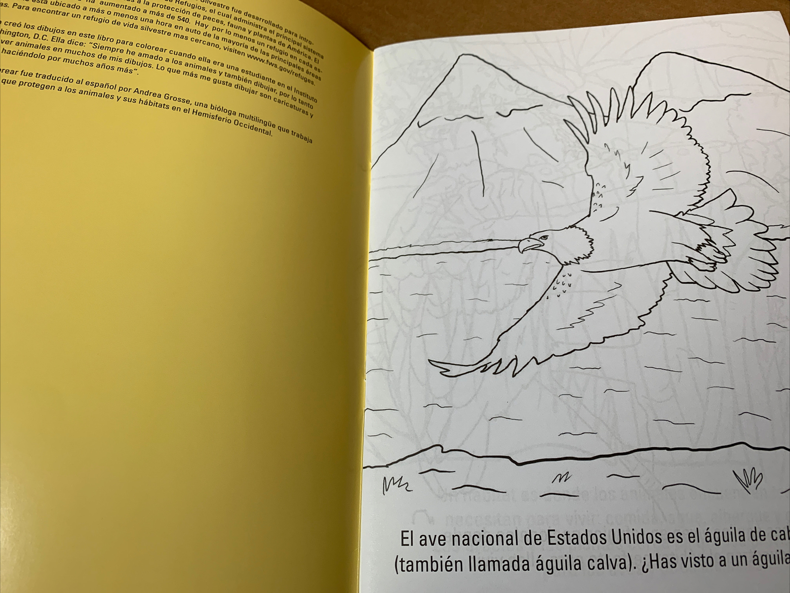 Oct 2009 US Fish & Wildlife Service COLORING BOOK SPANISH – NEW / UNUSED