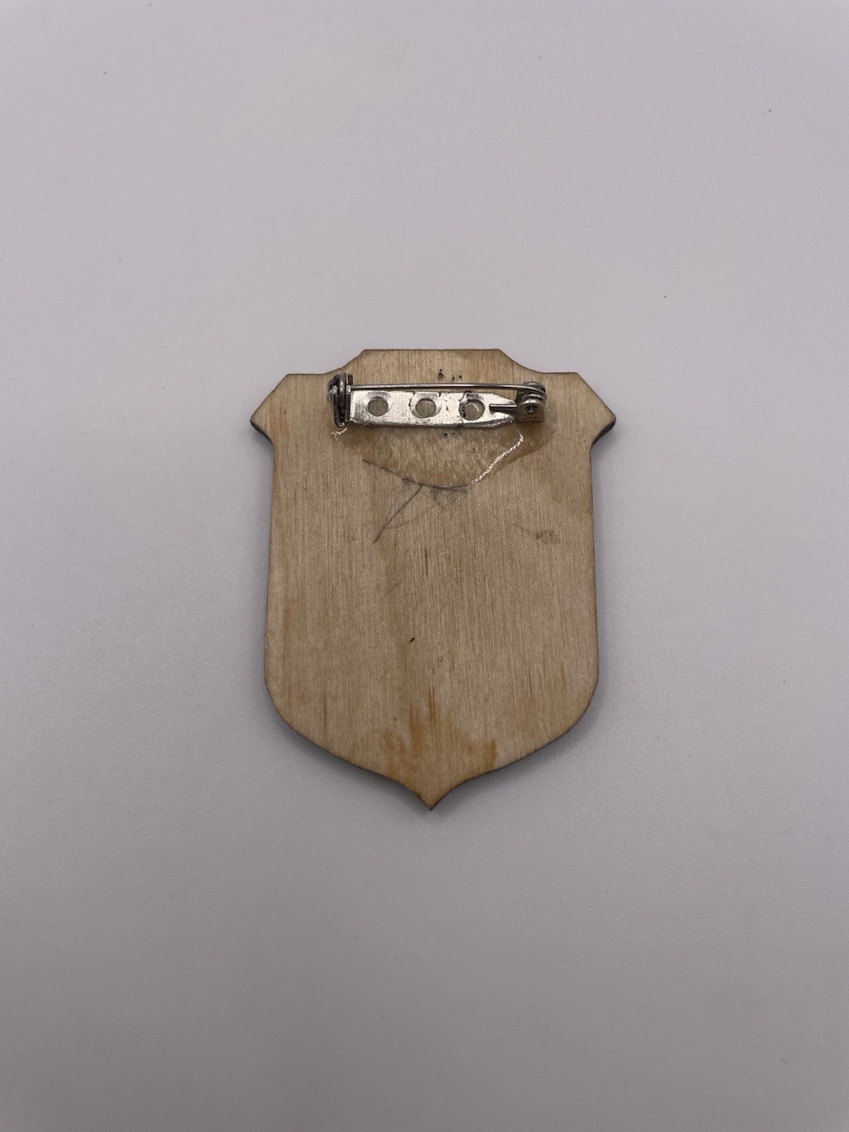 Congaree National Park – NPS Junior Ranger Badge – South Carolina