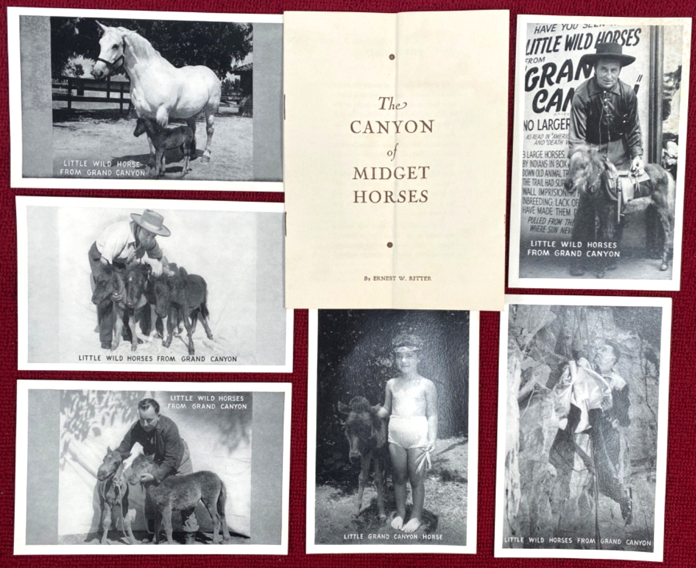 1940s GRAND CANYON MIDGET HORSES vintage booklet & 6 postcards ERNEST W. RITTER
