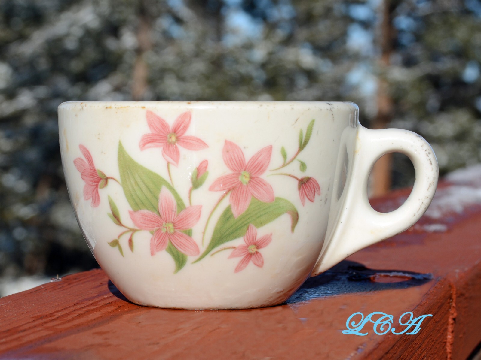 Antique GLACIER NAT’L PARK cup GREAT NORTHERN railroad SYRACUSE China MONTANA