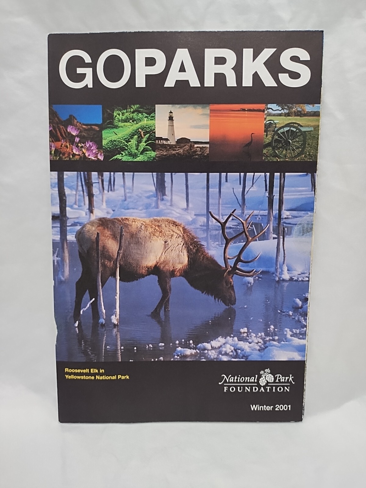 Winter 2001 Goparks National Park Foundation Brochure