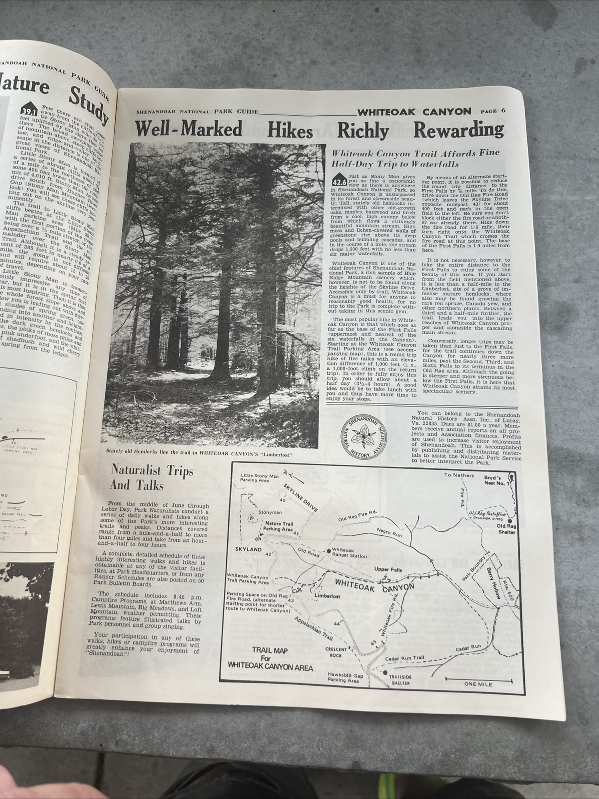 Vintage Shenandoah National Park and Skyline Drive Map and Profile Park Guide 19