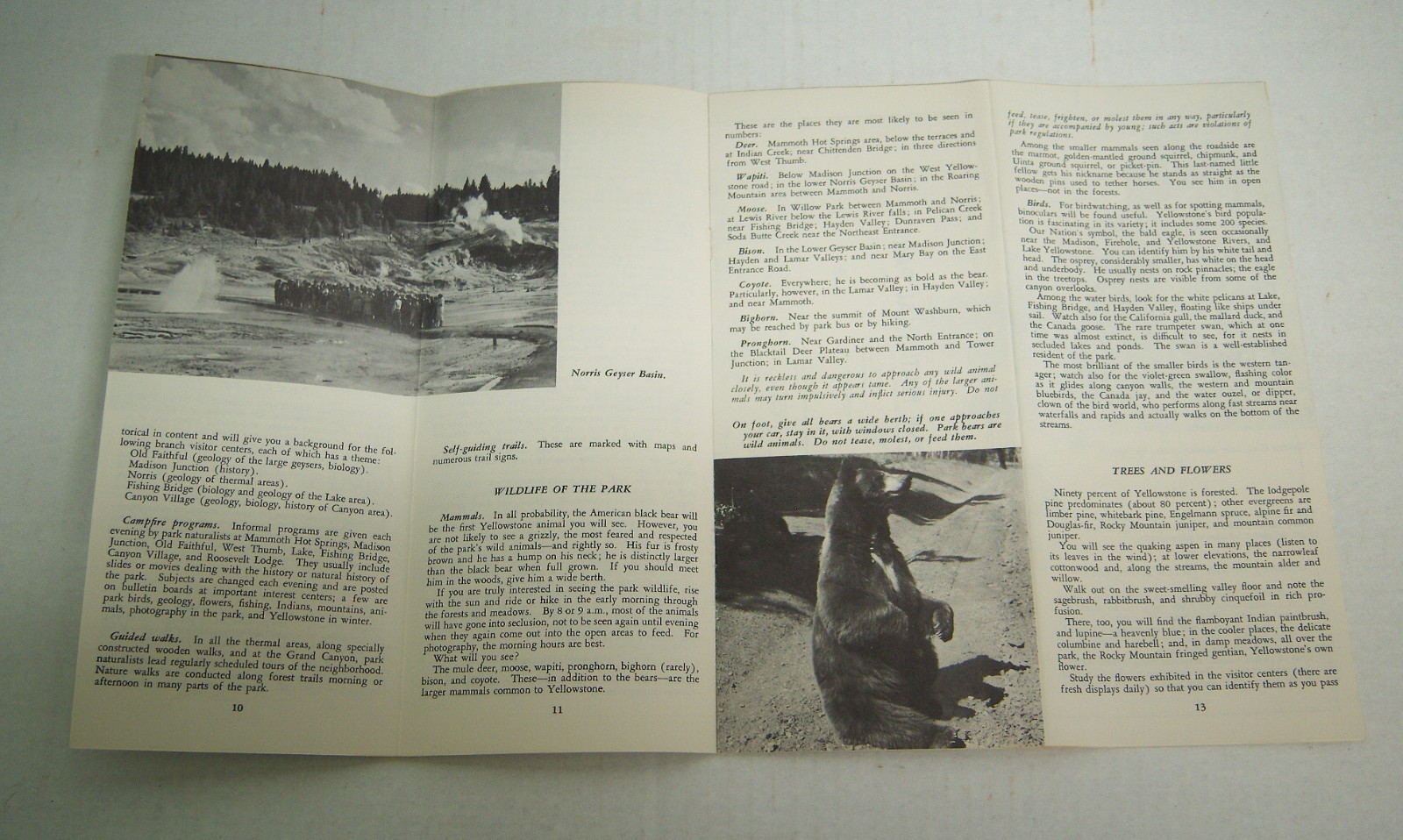 Rare 1957 Yellowstone National Park Road Map Guide Booklet Brochure 32 pgs 9×4″