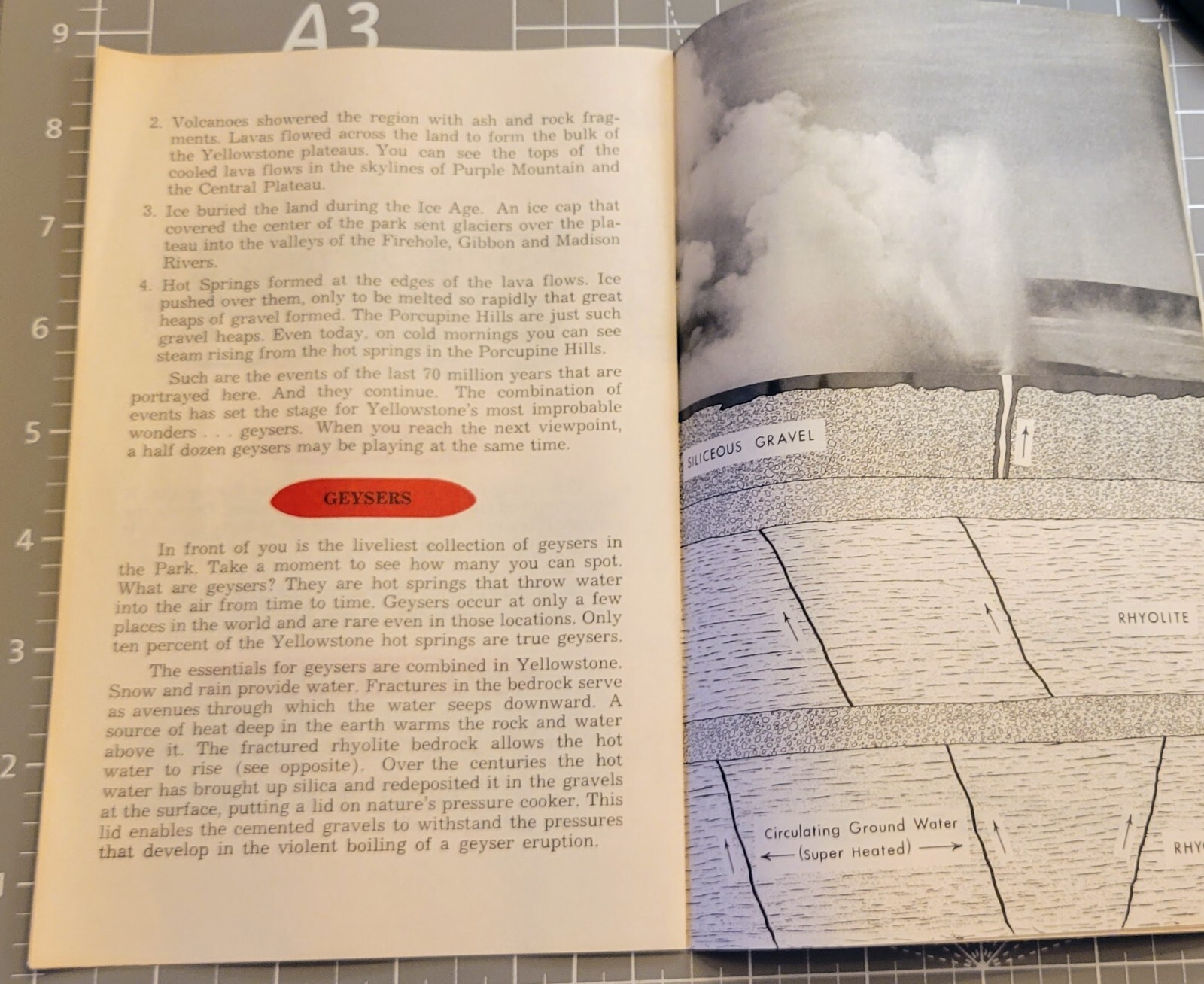Vtg Bklt Fountain Paint Pot Nature Trail Yellowstone Nat’l Park 1983 Bill Chapma
