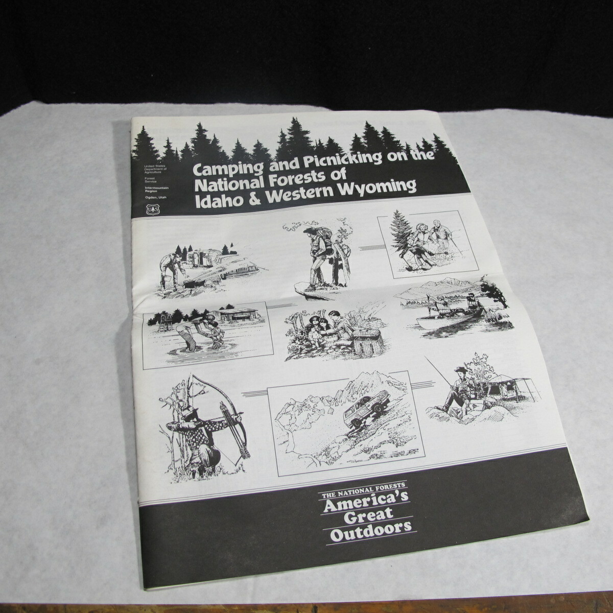 US Forest Service Camping Picnicking National Forests Idaho Wyoming VERY RARE !