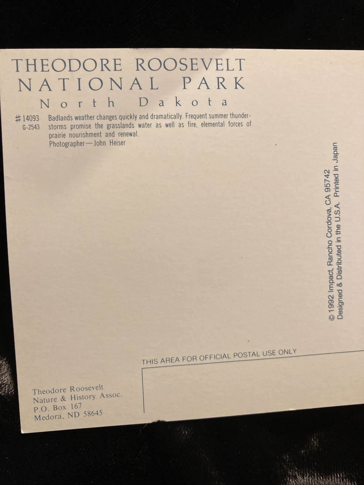 Vintage Theodore Roosevelt National Park Postcard Unposted RPPC