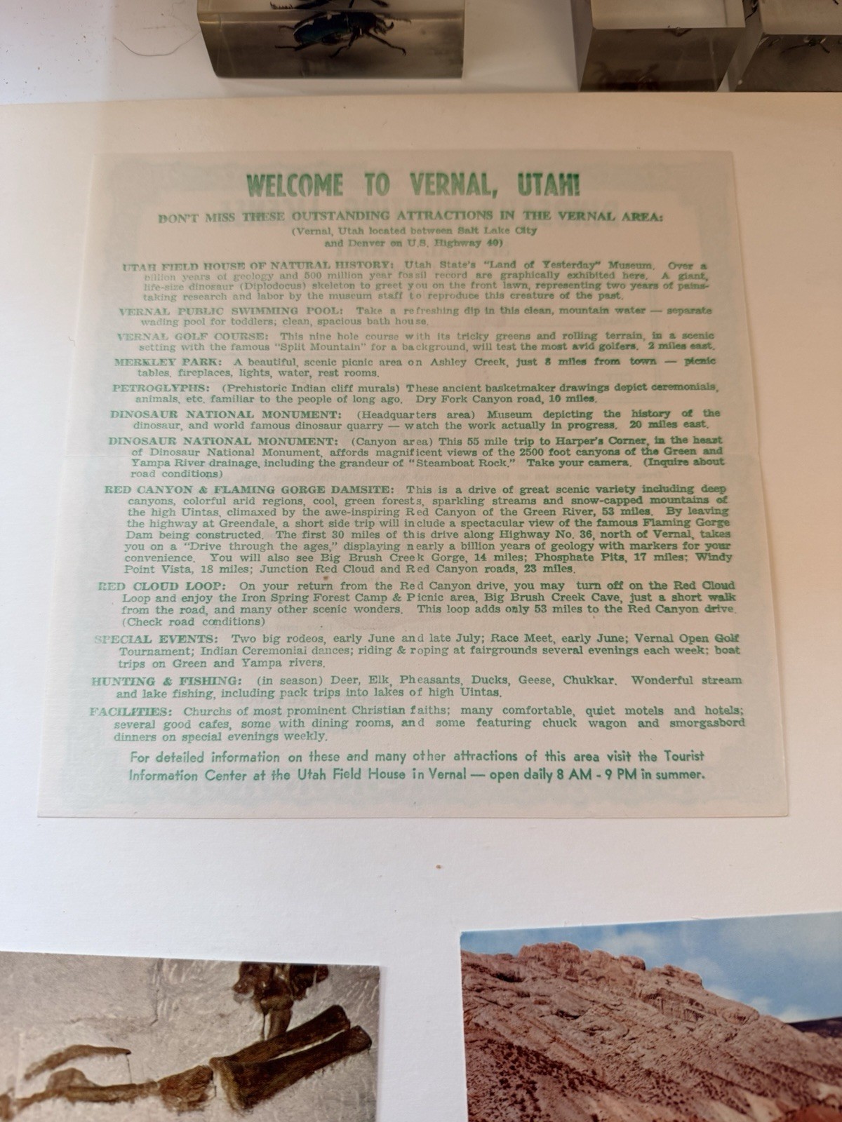 Vintage 1955 Dinosaur National Monument Postcards Brochure Map License Lot