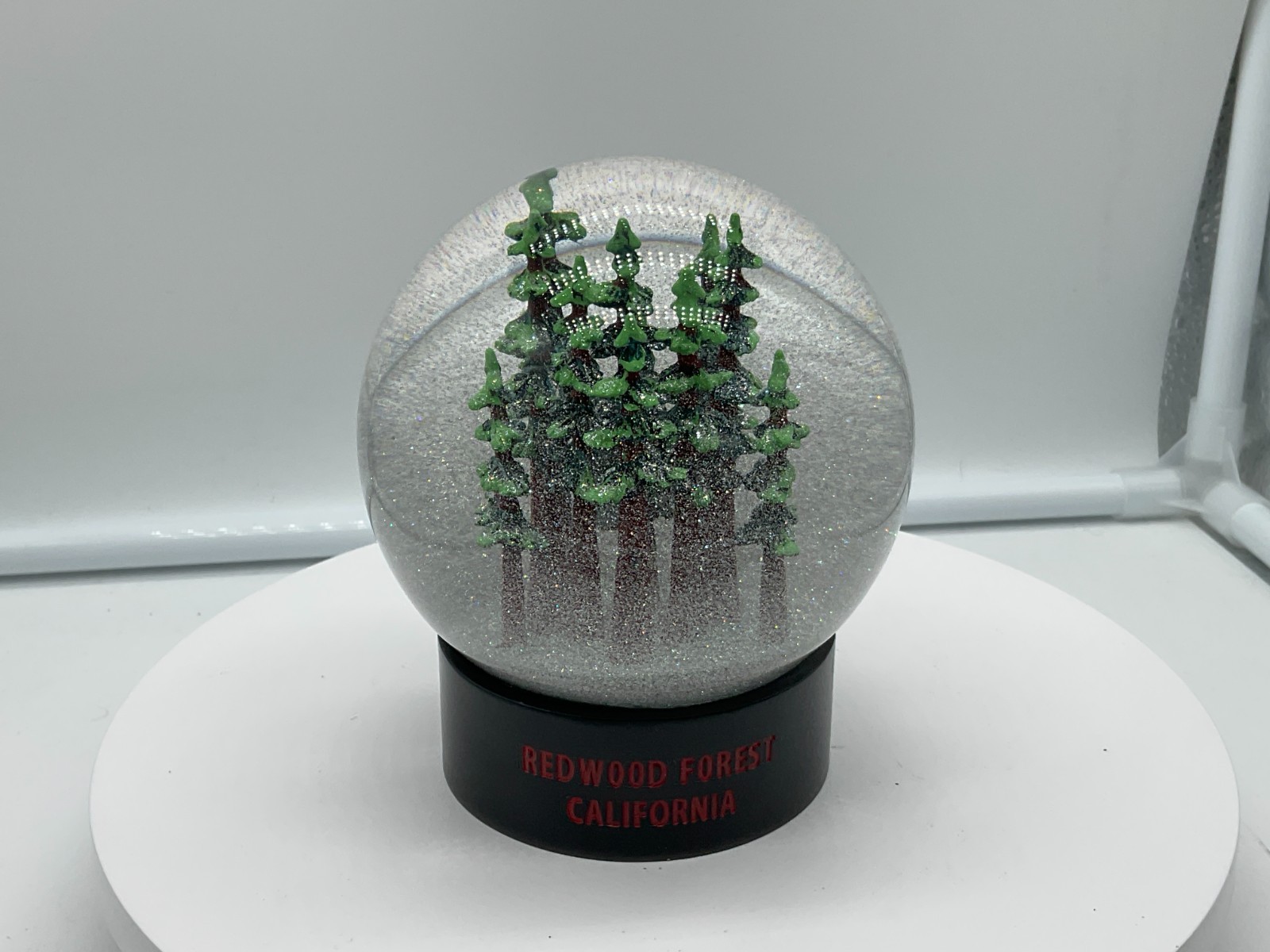 Redwood Forest California Fog Globe National Parks Conservancy Award Winner NIB