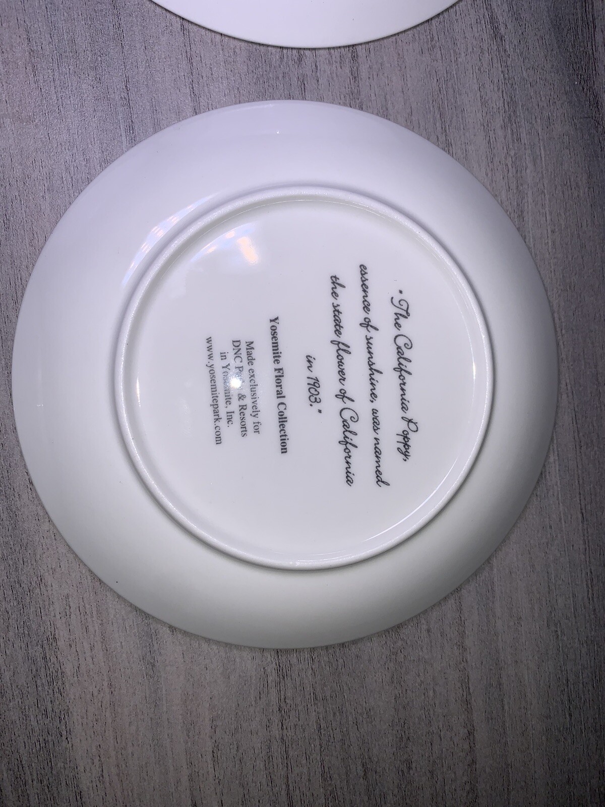 YOSEMITE FLORAL DESSERT PLATES: SET OF 4 YOSEMITE DNC PARKS AND RESORTS 6” NIB