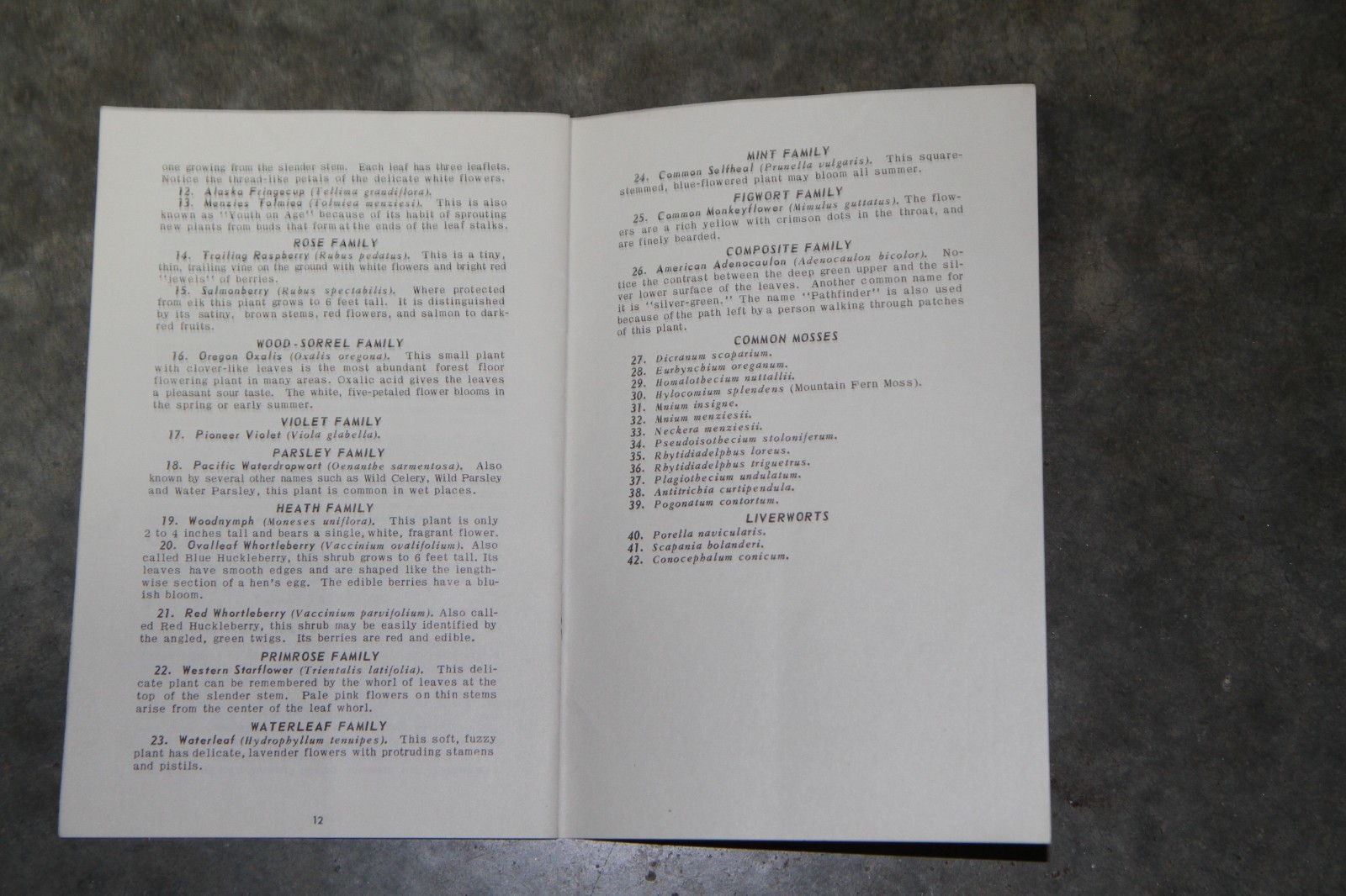 Original 1962 Rain Forest Nature Trail booklet, Olympic National Park