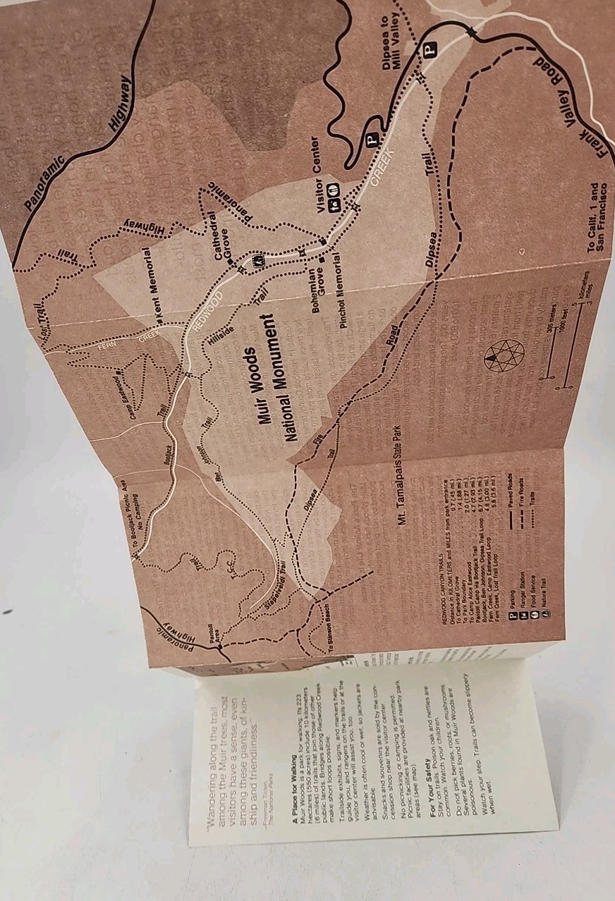 Vintage Muir Woods Monument Nature Lover Brochure Ephemera And Map