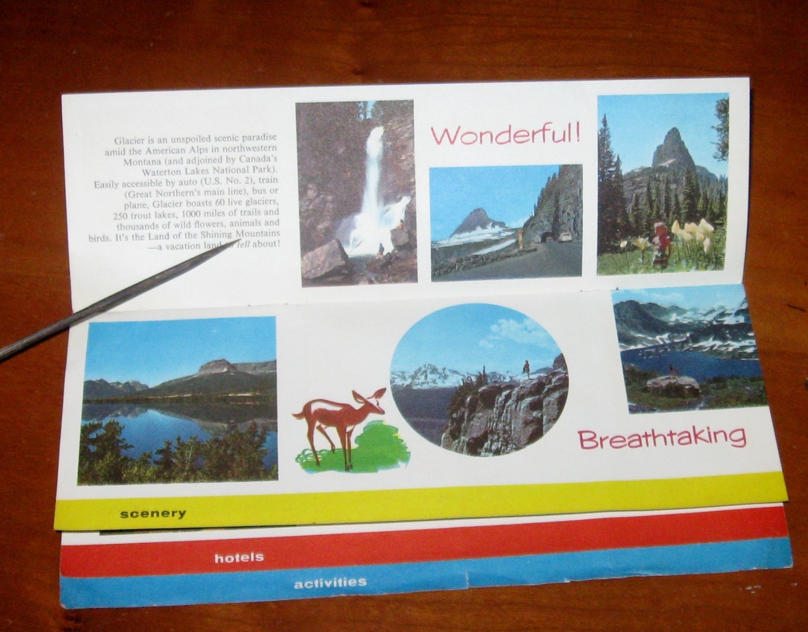 1960 Glacier National Park Brochure Greater Northern Railway USA Travel History