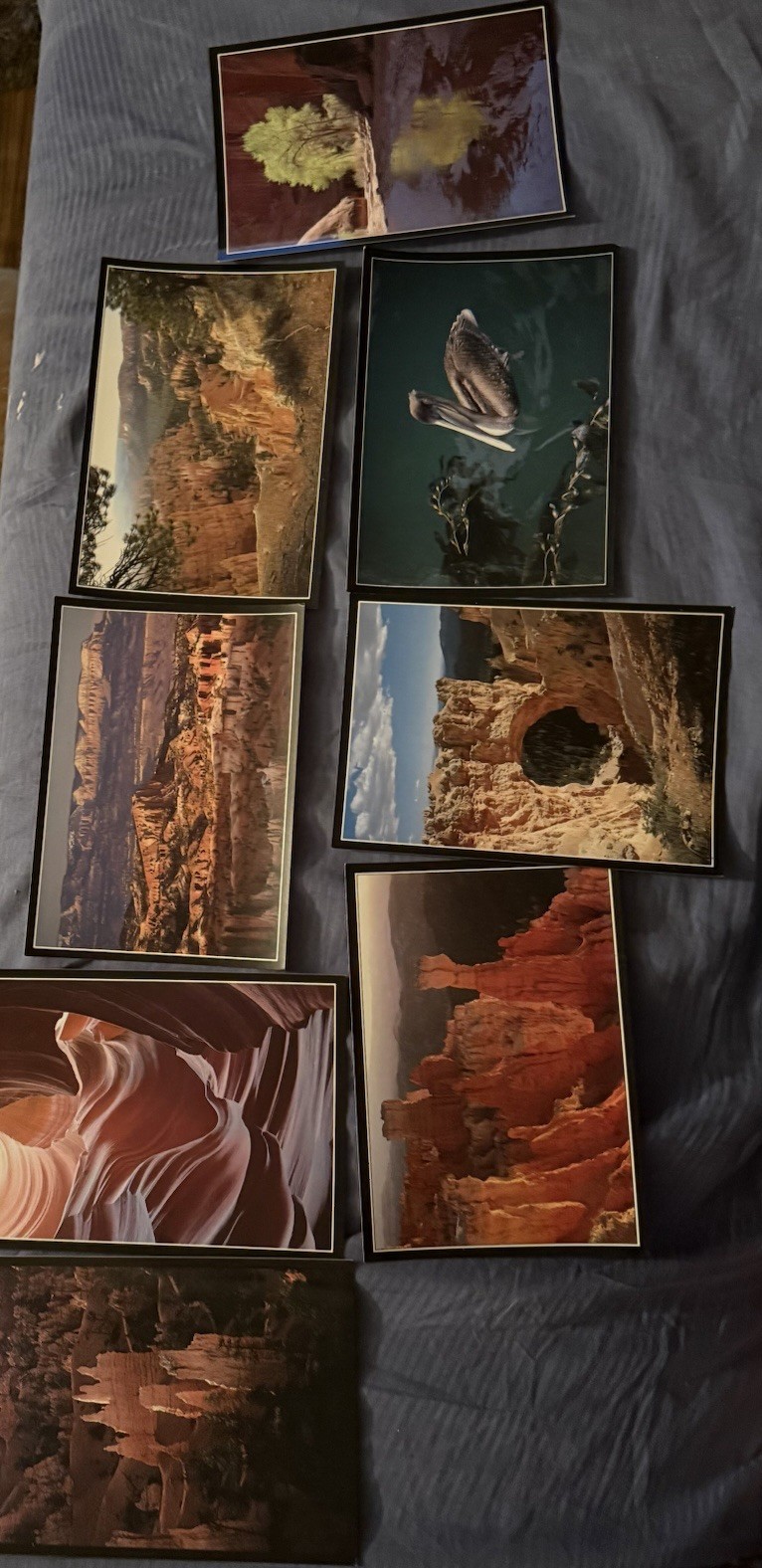 Vintage Bryce Canyon country 1980s Scenic postcards Lot Bundle
