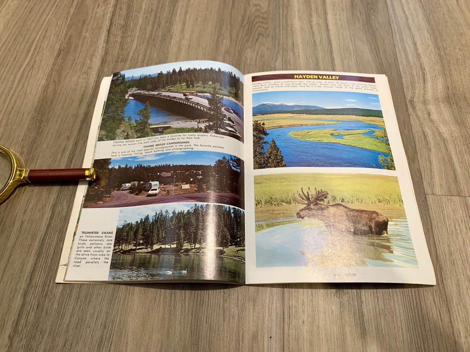 Yellowstone National Park – Vintage Nature Photography Magazine