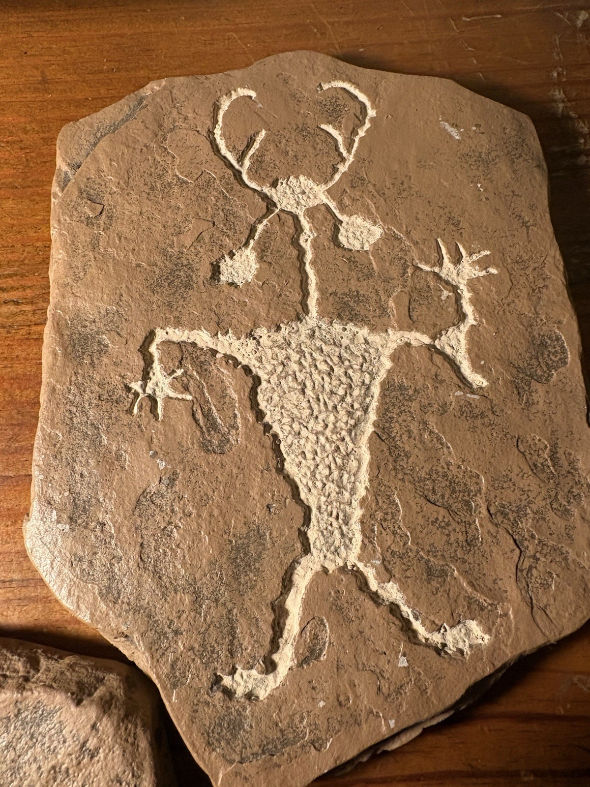 Replica Fremont Petroglyph Dinosaur National Monument Modern Replica
