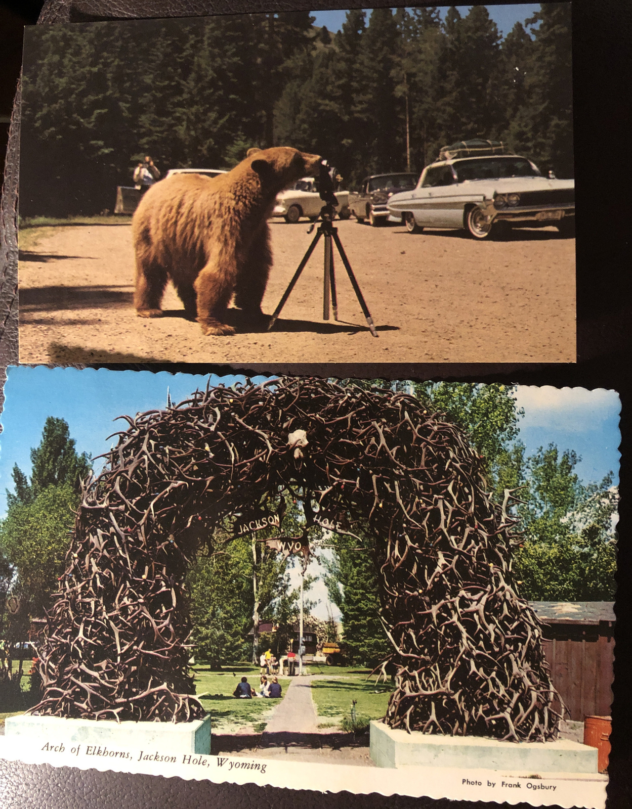 Vintage National park RPPC grand Teton Yellowstone Park Post Card Set 2 Granny