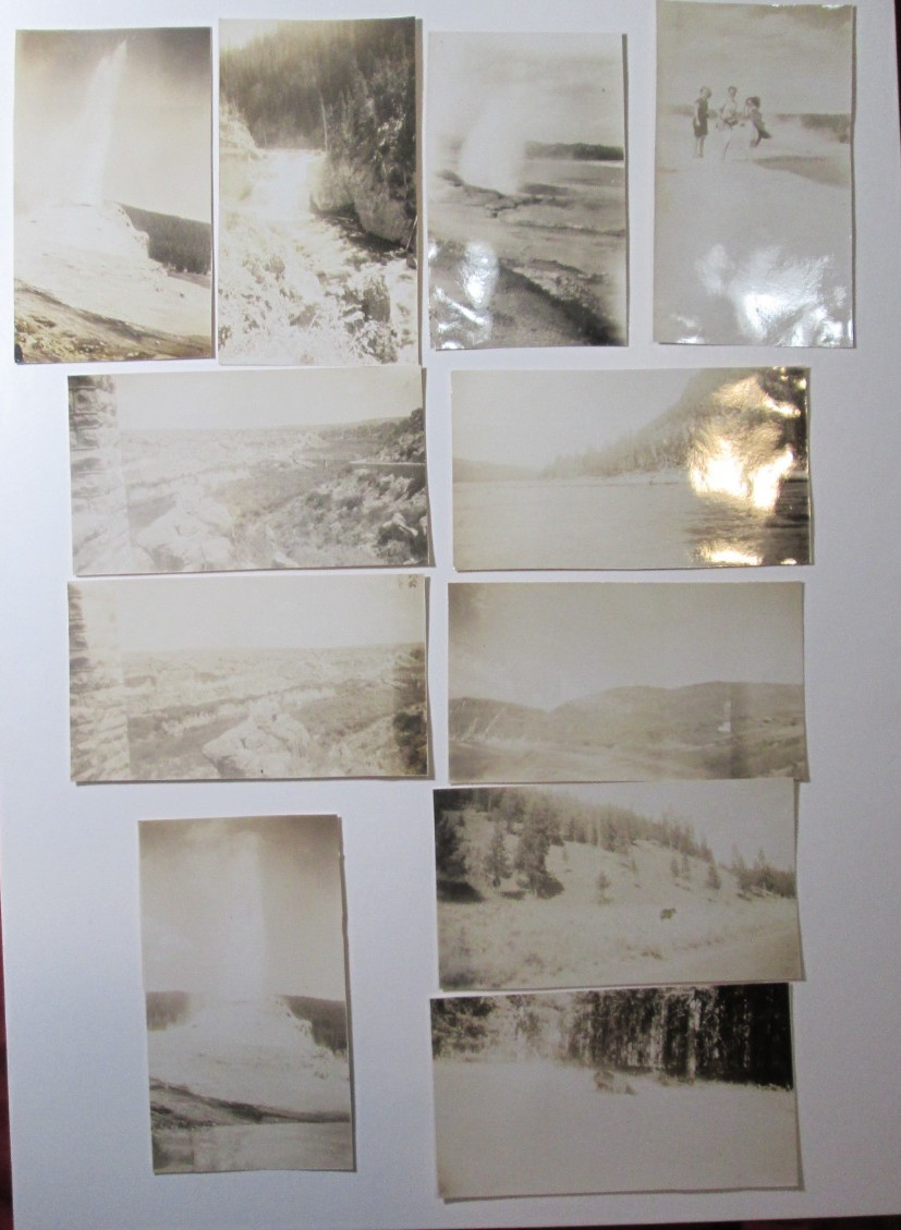 Vintage 1946 Original Wyoming Yellowstone Park Photos Lot Geysers Grizzly Bear