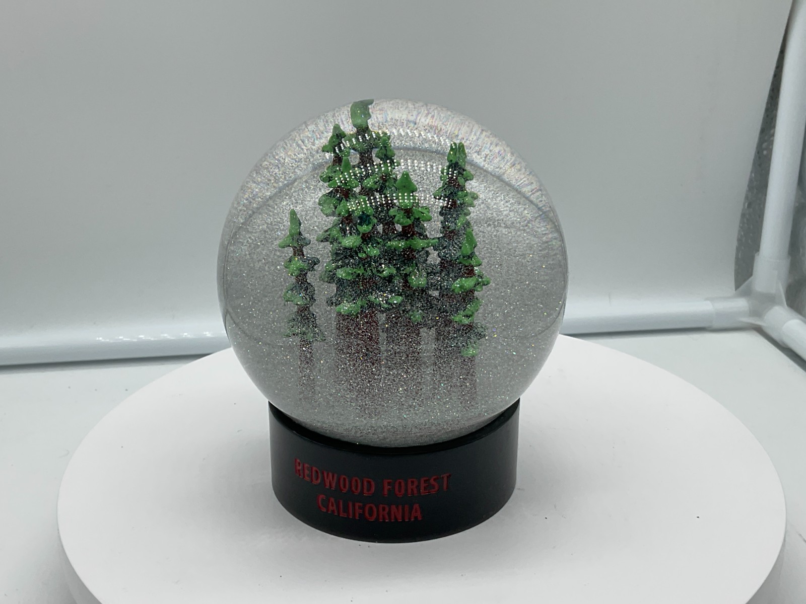 Redwood Forest California Fog Globe National Parks Conservancy Award Winner NIB