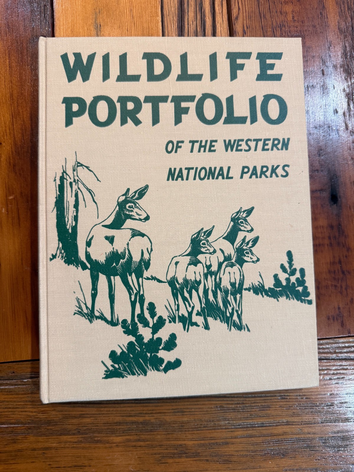 1957 Wildlife Portfolio of Western National Parks by Joseph Dixon | Animal Photo