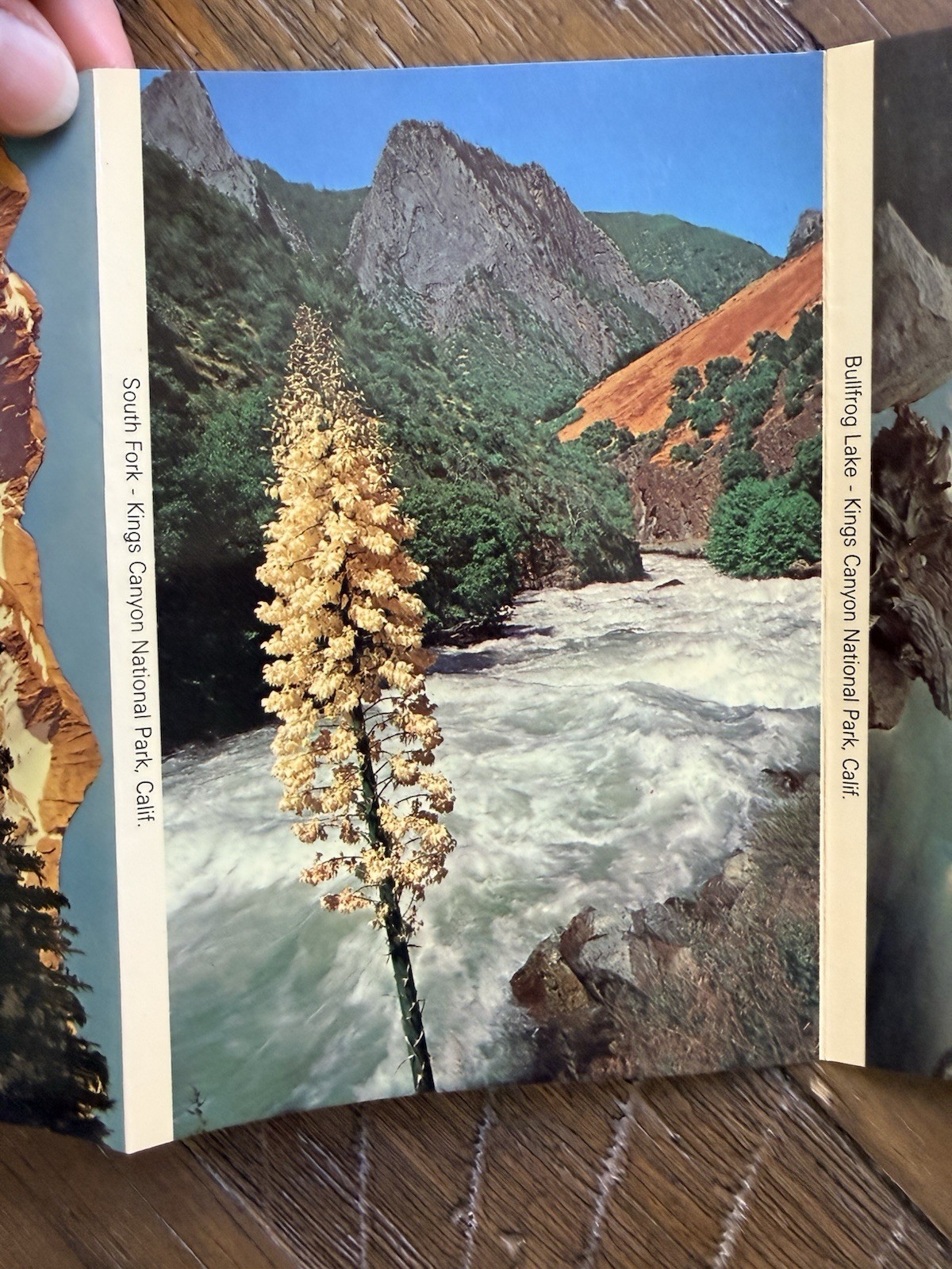 Vintage Sequoia National Park Accordion Pamphlet Photography By David Muench 85’