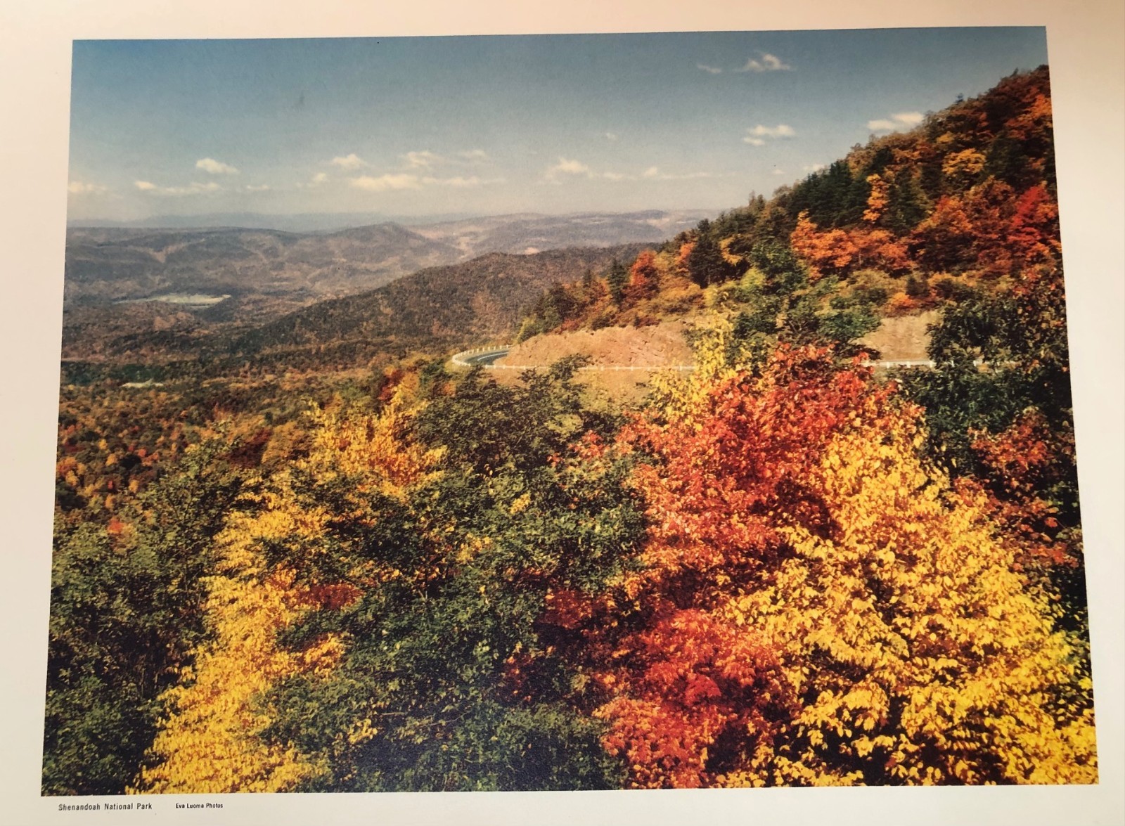 RARE 1953 National Parks Portfolio No. 1 12 lithograph scenes on special paper