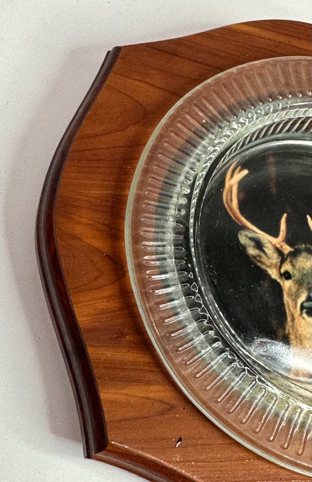 Vintage Rocky Mountain National Park ASHTRAY WOOD AND GLASS WITH DEER