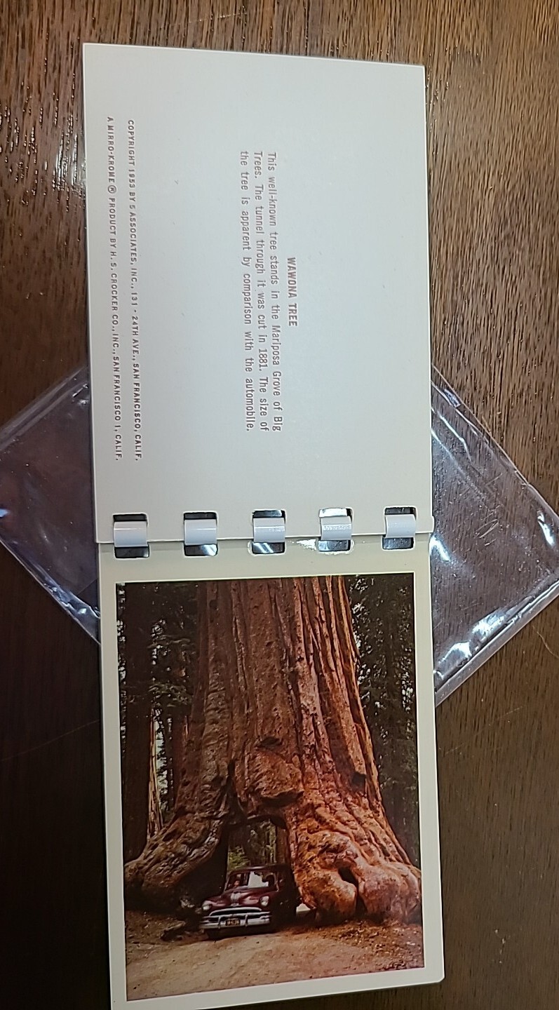 Vtg Yosemite National Park Color Album Prints 1953/Photo Guide 1955/Pers. Photos