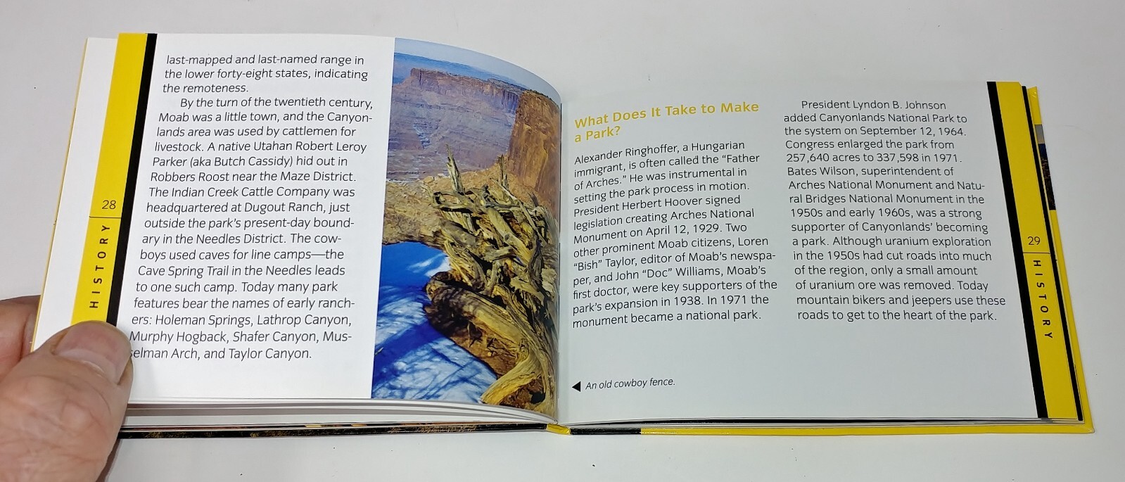 Arches and Canyonlands National Parks Pocket Guide (Falcon Pocket Guides)