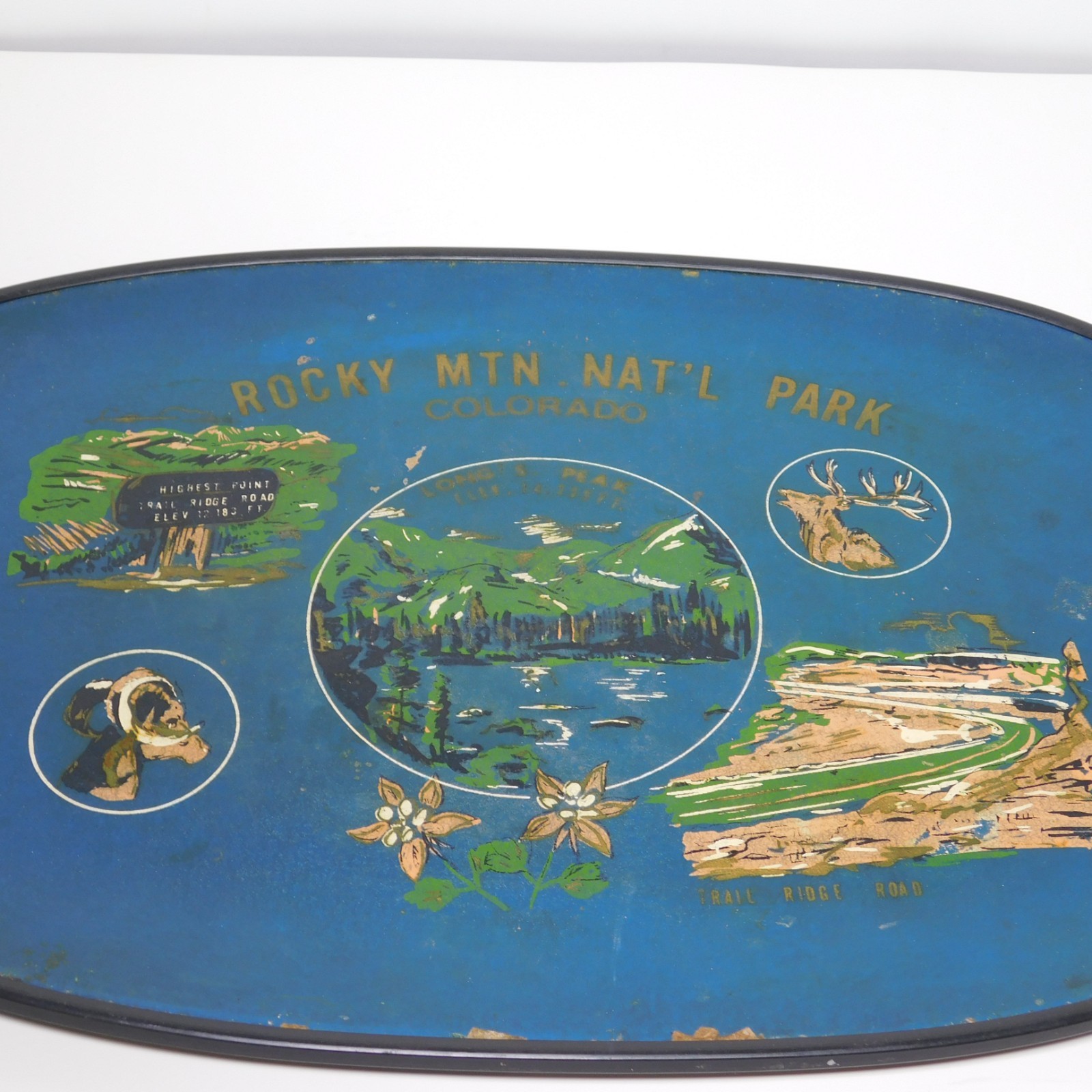 Vintage 1950s Rocky Mountains National Park Tourist Souvenir Serving Tray Japan