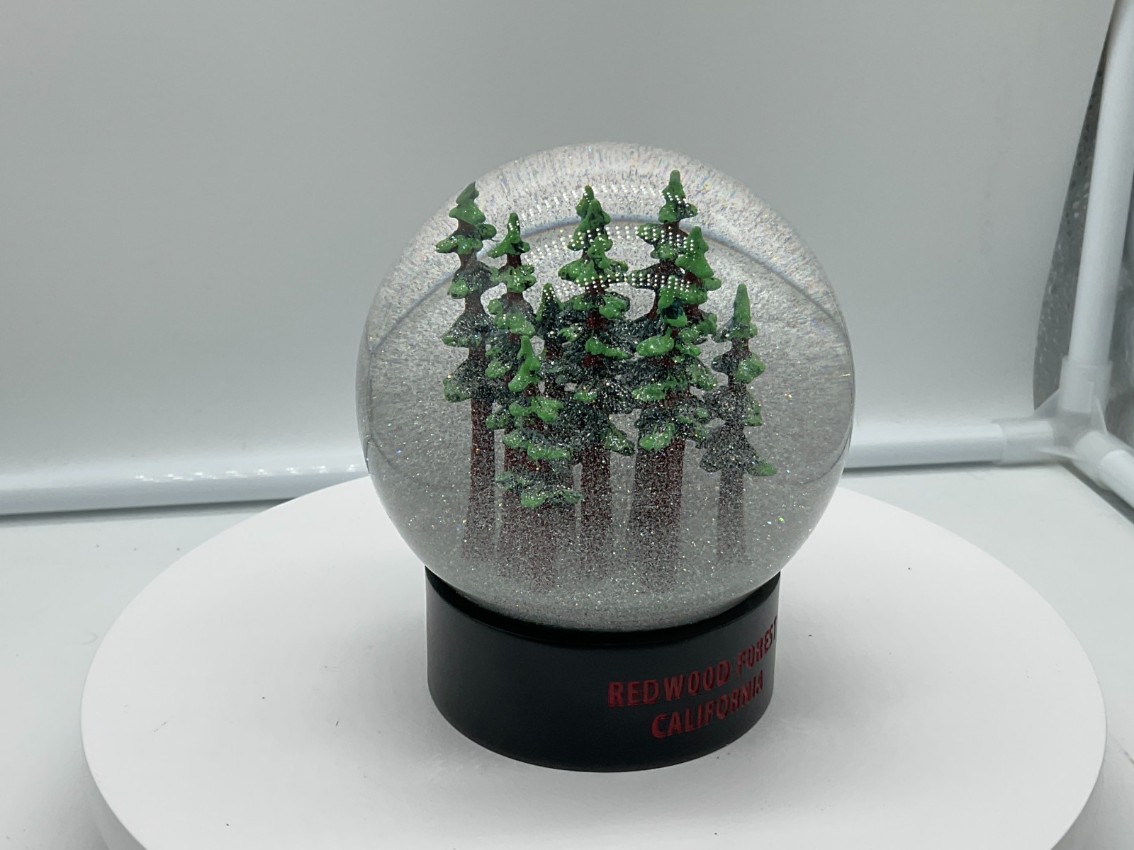 Redwood Forest California Fog Globe National Parks Conservancy Award Winner NIB