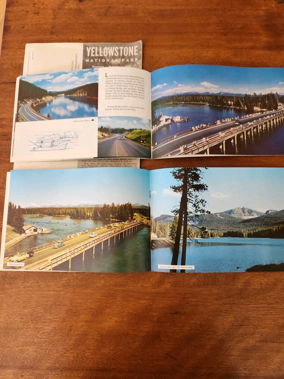 1960s Yellowstone Park Souvenir Albums, brochures, slides lot