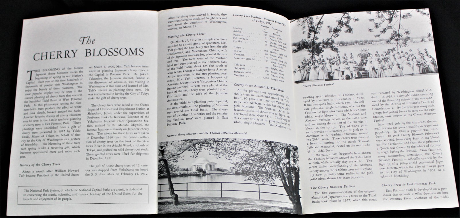 WASGHINGTON D.C. CHERRY BLOSSOMS NATIONAL PARK SERVICE BROCHURE 1957 VINTAGE