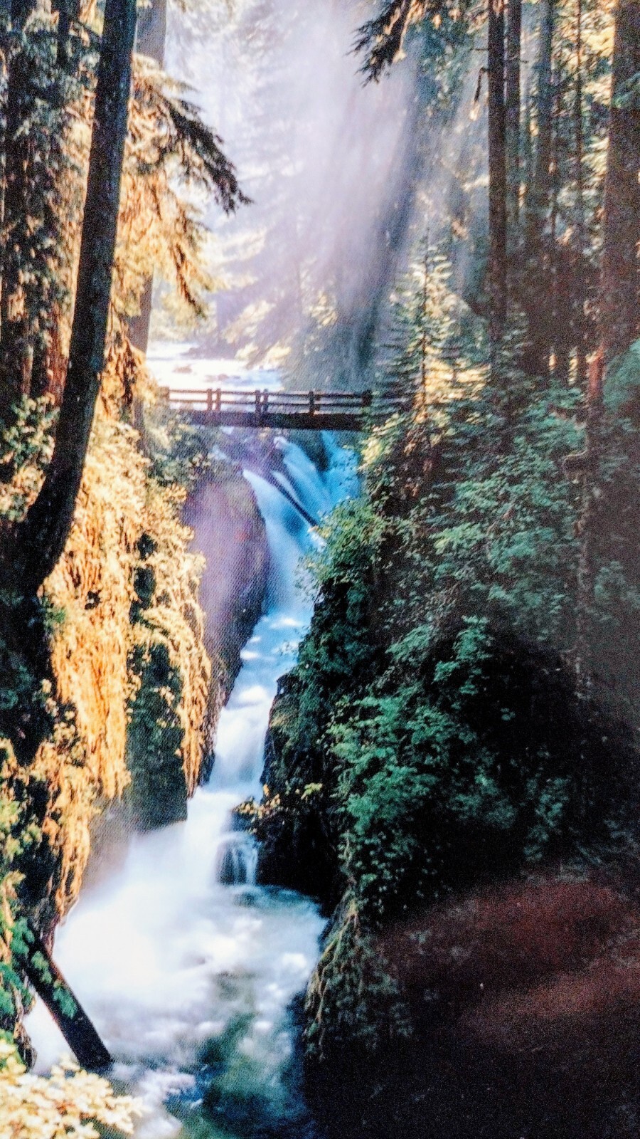 5 x 7 BEAUTIFUL POST CARD SOL DUC FALLS OLYMPIC NATIONAL PARK WA
