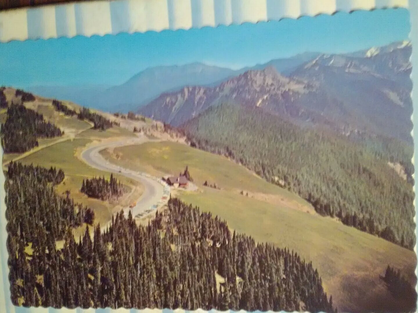POST CARD HURRICANE RIDGE – OLYMPIC NATIONAL PARK WASHINGTON