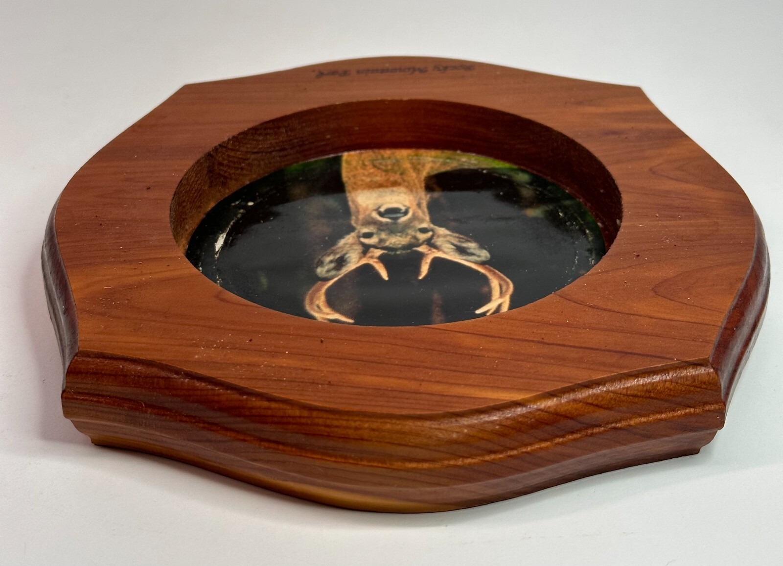 Vintage Rocky Mountain National Park ASHTRAY WOOD AND GLASS WITH DEER