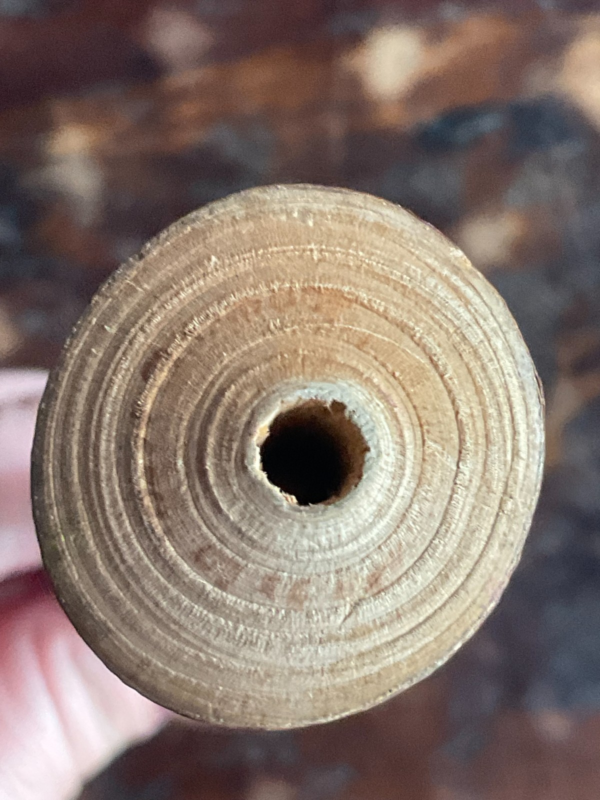 Vintage Wood Hand Carved Souvenir Yosemite National Park Whistle-Made in USA