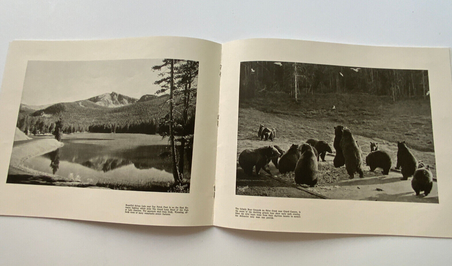 Yellowstone National Park Souvenir Album /Original Envelope/Pristine Condition