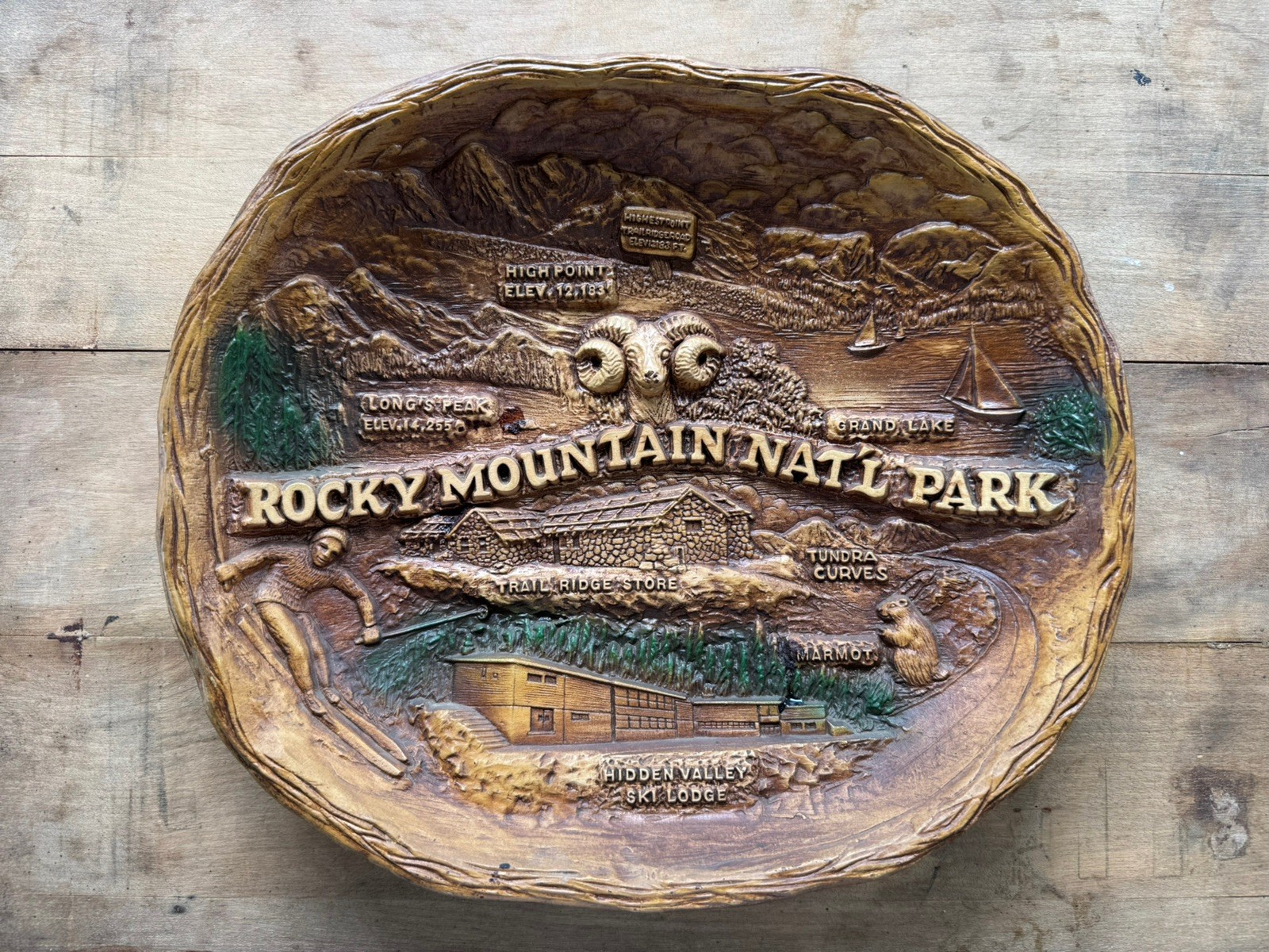 Vintage – Rocky Mountain National Park Bowl – MCM Souvenir Tray Wall Art Decor