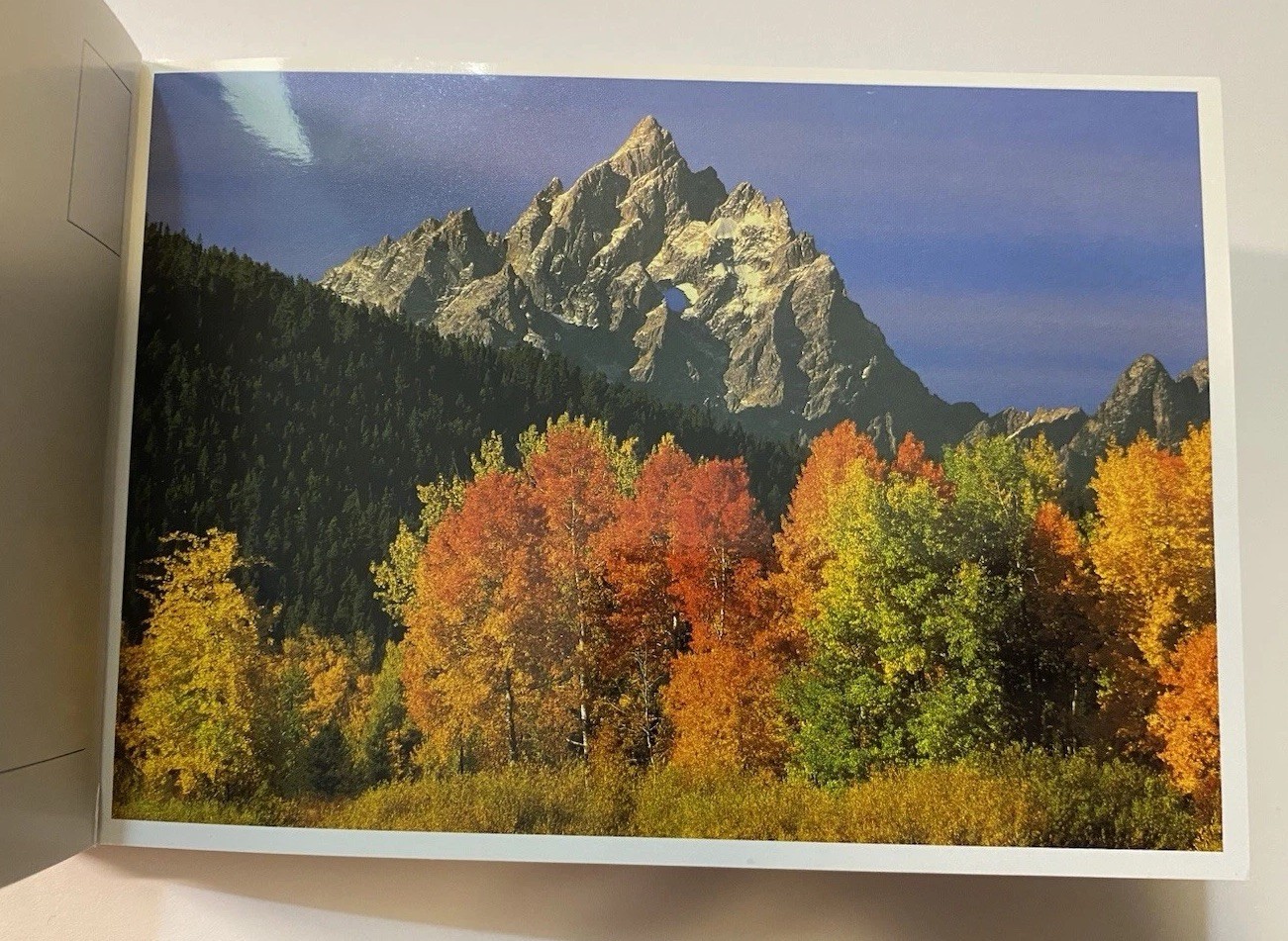 Yellowstone National Park & Grand Teton National Park Book of Postcards 24 Left
