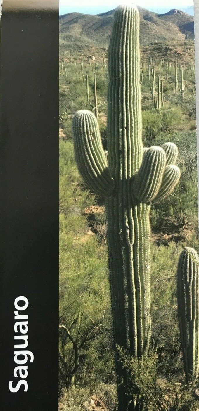 2026 SAGUARO NP – Arizona NATIONAL PARK SERVICE UNIGRID BROCHURE/MAP New